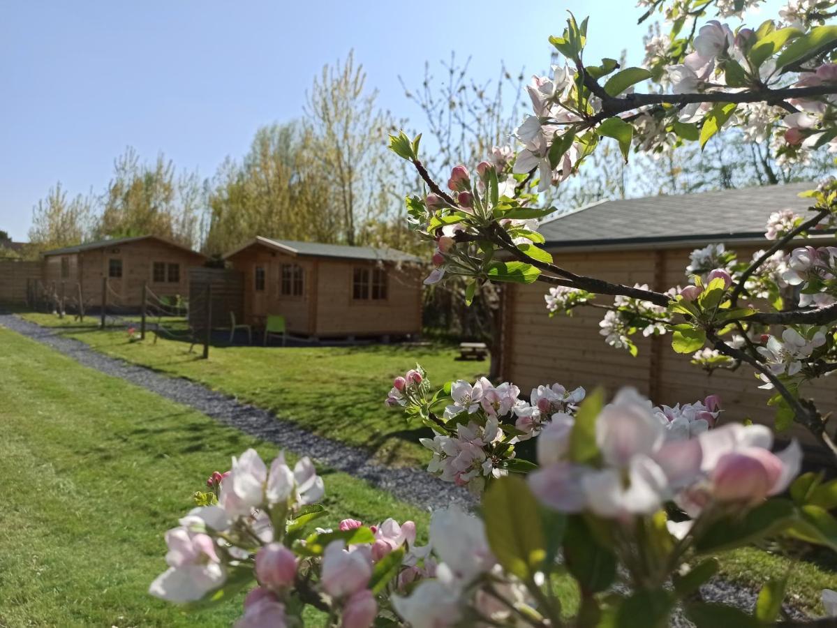 Gite Les Chalets Du Fliers Verton Meubles De Tourisme Classes 2 Etoiles Berck Buitenkant foto